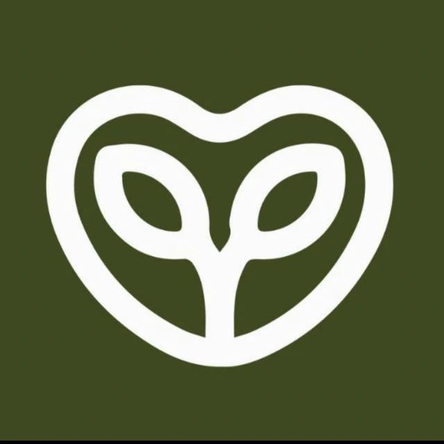Yagi-Forest